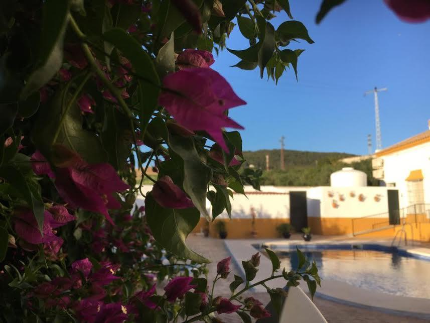 Hotel Andalou Montellano Kültér fotó