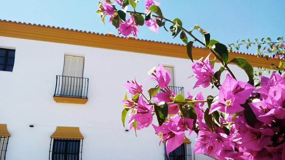 Hotel Andalou Montellano Kültér fotó