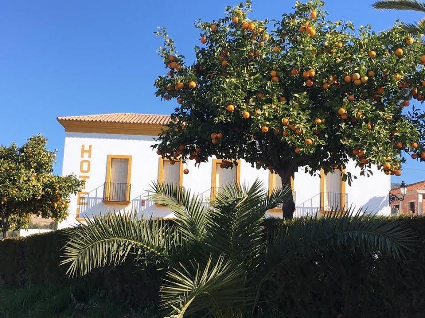 Hotel Andalou Montellano Kültér fotó